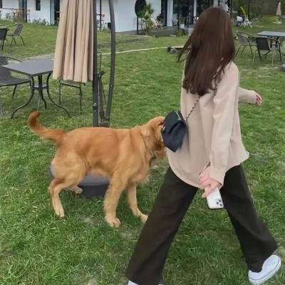 英伦怪咖